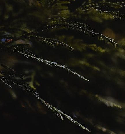 障害のあるデートでの初デートで避けるべき質問 簡単なガイド