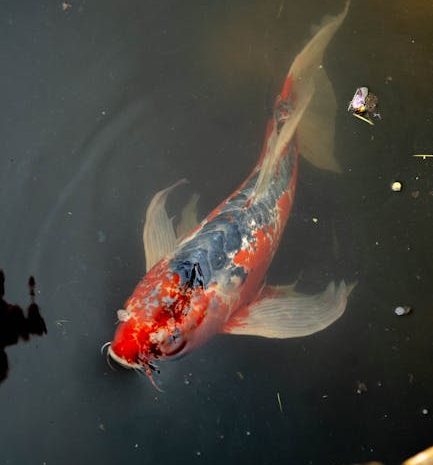 顔を出さずにオンラインでいちゃつくことの真実