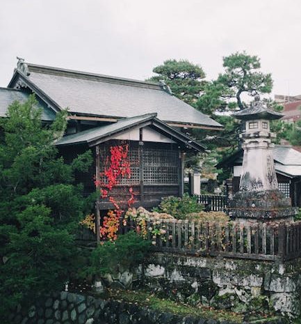 ビデオデートにおける照明の過剰共有を避ける方法