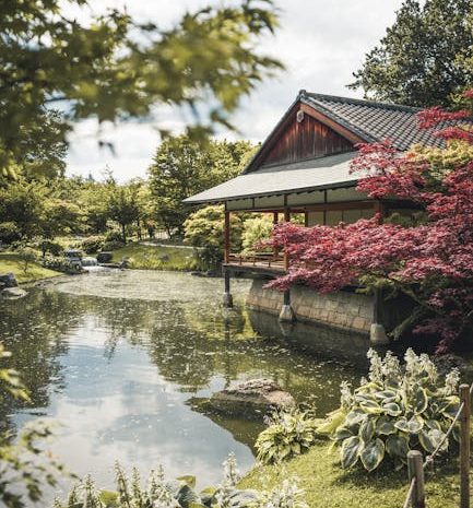 不器用な瞬間をユーモアで乗り切る方法