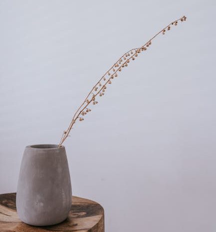 言語パートナーを探す際に境界線を設定する方法