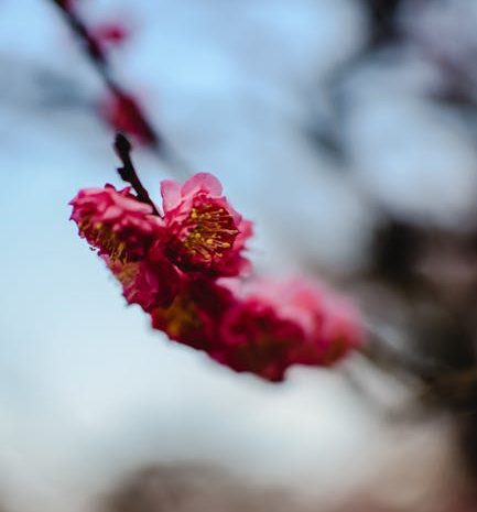 不愉快な褒め言葉の後の穏やかな回復方法