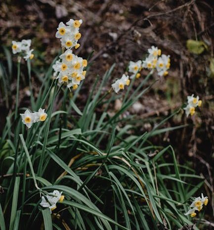 他人とのチャットを成功させるための秘訣